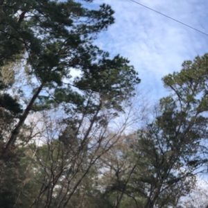 Meet your Posher, Mel